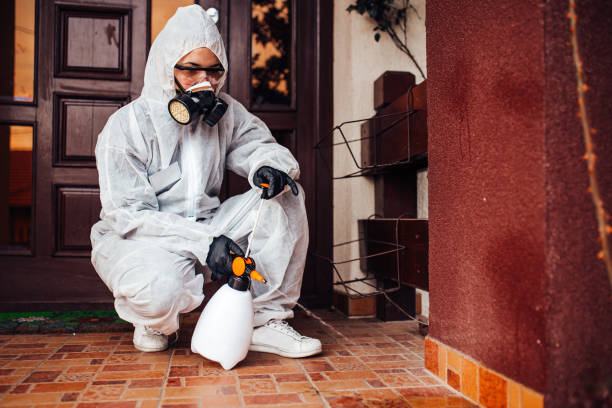 Reliable Ant Control contractor in Naugatuck, CT by Show Me Pest Control